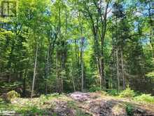 LOT 5 FAIRY FALLS Road Baysville