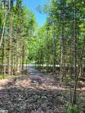 LOT 5 FAIRY FALLS Road Baysville