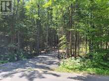 LOT 5 FAIRY FALLS Road Baysville