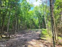 LOT 5 FAIRY FALLS Road Baysville