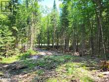 LOT 5 FAIRY FALLS Road Baysville