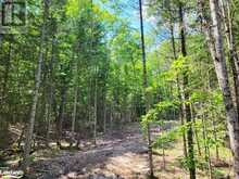 LOT 5 FAIRY FALLS Road Baysville