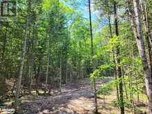 LOT 5 FAIRY FALLS ROAD Lake of Bays