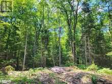 LOT 5 FAIRY FALLS ROAD Lake of Bays