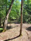 LOT 4 FAIRY FALLS Road Baysville