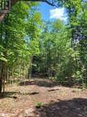 LOT 4 FAIRY FALLS Road Baysville