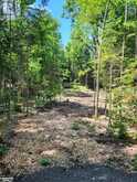 LOT 4 FAIRY FALLS Road Baysville