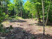 LOT 4 FAIRY FALLS Road Baysville