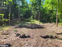 LOT 4 FAIRY FALLS Road Baysville