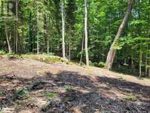 LOT 4 FAIRY FALLS Road Baysville