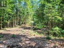 LOT 4 FAIRY FALLS Road Baysville