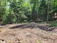 LOT 4 FAIRY FALLS Road Baysville