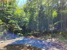 LOT 4 FAIRY FALLS Road Baysville