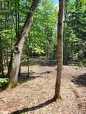 LOT 4 FAIRY FALLS ROAD Lake of Bays