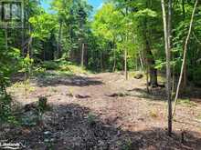 LOT 4 FAIRY FALLS ROAD Lake of Bays