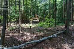 15KL2 KAHSHE Lake Gravenhurst