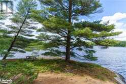 15KL2 KAHSHE Lake Gravenhurst