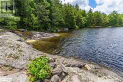 15KL2 KAHSHE Lake Gravenhurst