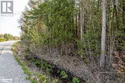 LOT 438 CHAMPLAIN Road Tiny