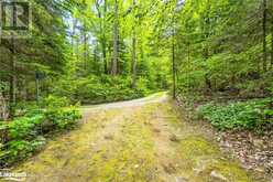 1005 SAHARA Trail Haliburton