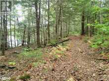 LOT 9 CONCESSION 5 Baysville