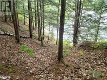 LOT 9 CONCESSION 5 Baysville