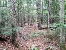 LOT 9 CONCESSION 5 Baysville