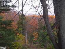 LOT 9 CONCESSION 5 Baysville