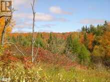 LOT 9 CONCESSION 5 Baysville