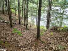 LOT 9 CONCESSION 5 Lake of Bays