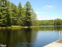 LOT 9 CONCESSION 5 Lake of Bays