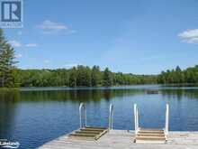 LOT 9 CONCESSION 5 Lake of Bays