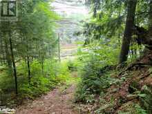 LOT 9 CONCESSION 5 Lake of Bays