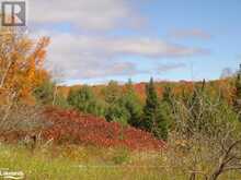 LOT 9 CONCESSION 5 Lake of Bays