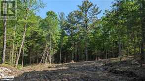 LOT 2 LIMBERLOST Road Lake of Bays