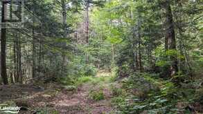 LOT 2 LIMBERLOST Road Lake of Bays