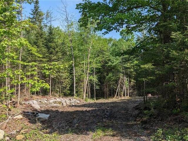 LOT 2 LIMBERLOST Road Lake of Bays Ontario