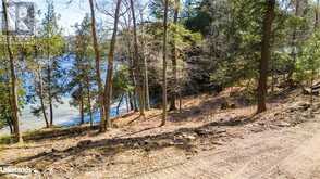 1091 OSBORNE POINT Road Lake of Bays