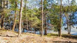 1091 OSBORNE POINT Road Lake of Bays