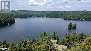 1091 OSBORNE POINT Road Lake of Bays