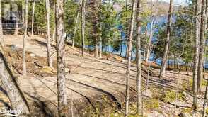 1091 OSBORNE POINT Road Lake of Bays