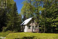 11903 COUNTY ROAD 503 Haliburton