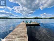 1331 BLUE HERON Road Haliburton