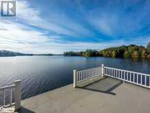 399 HORSESHOE Lake Seguin