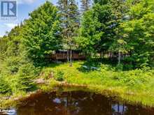 202 BLACKWATER LAKE ROAD McKellar