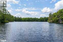 998 GULL Lake Gravenhurst