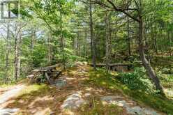 998 GULL Lake Gravenhurst