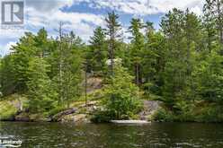 998 GULL Lake Gravenhurst