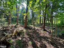 LOT 5 HIGHWAY 26 Meaford