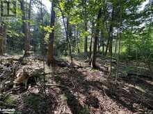 LOT 5 HIGHWAY 26 Meaford (Municipality)